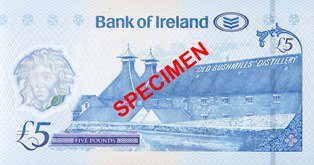 An example of the back of a £5 Bushmills Polymer Series note
